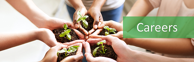 Hands holding growing plants